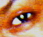 coach_picture